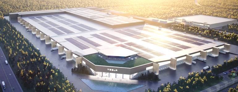 Sometimes Cutting Trees Can Support Green Goals