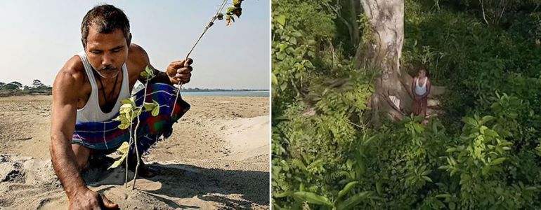 Regrowing Forests Showcases of Restoration and Profitability