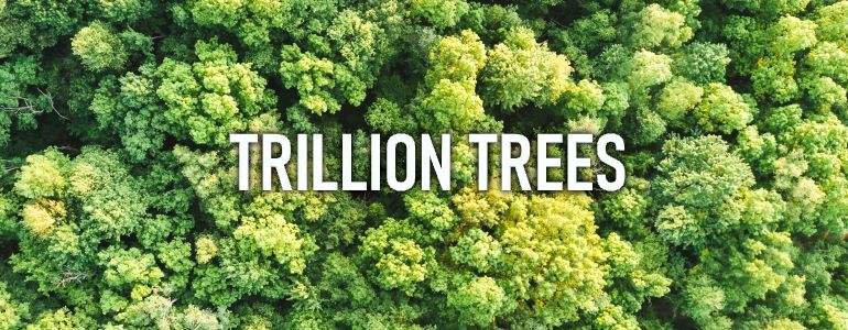 Trillion Trees
